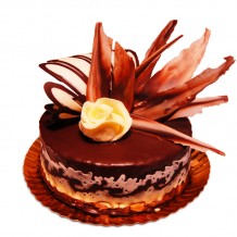 Tort Rotterdam