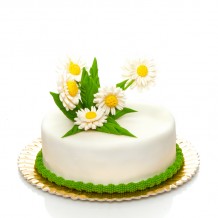 Tort Margo