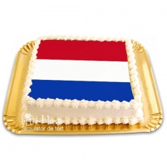 Torturi cu poze Tort Olanda